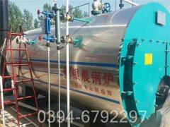 7吨燃气锅炉价格