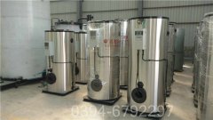 4吨低氮燃气锅炉