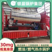 WNS20-1.25-QY蒸汽锅炉荷兰vs波兰世界杯
