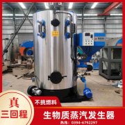 WNS8-1.25-QY液化气蒸汽锅炉荷兰vs波兰世界杯
