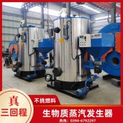 WNS6-1.25-QY天然气蒸汽锅炉荷兰vs波兰世界杯
