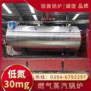 WNS1-1.0-QY冷凝蒸汽锅炉荷兰vs波兰世界杯
