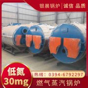 WNS0.7-1.0-QY燃气蒸汽锅炉荷兰vs波兰世界杯
