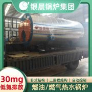 WNS0.2-0.7-QY低氮蒸汽锅炉荷兰vs波兰世界杯
