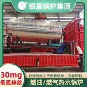 15吨天然气蒸汽锅炉荷兰vs波兰世界杯
