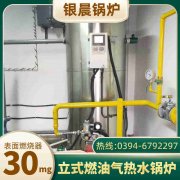12吨环保蒸汽锅炉太康县银晨锅炉有限公司