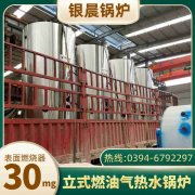 6吨燃气蒸汽锅炉银晨锅炉