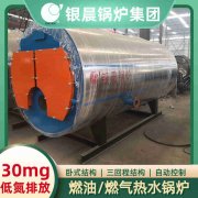 1吨低氮冷凝蒸汽锅炉荷兰vs波兰世界杯
