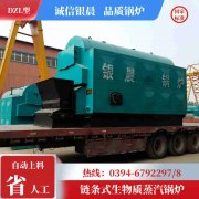 0.2吨冷凝蒸汽锅炉荷兰vs波兰世界杯
